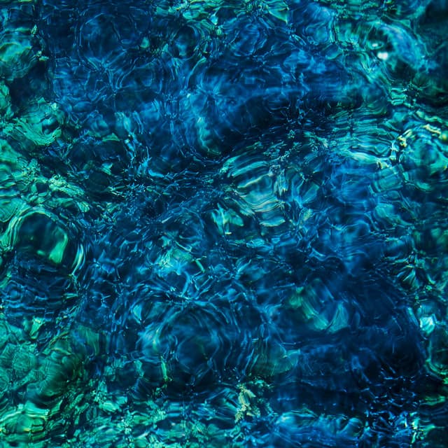 Luminescent Creatures by Ichiko Aoba