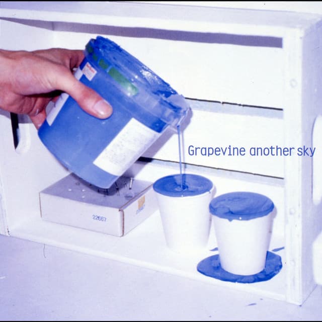 another sky by GRAPEVINE