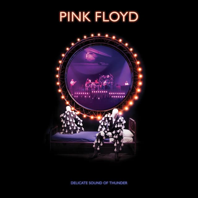 Delicate Sound Of Thunder by Pink Floyd