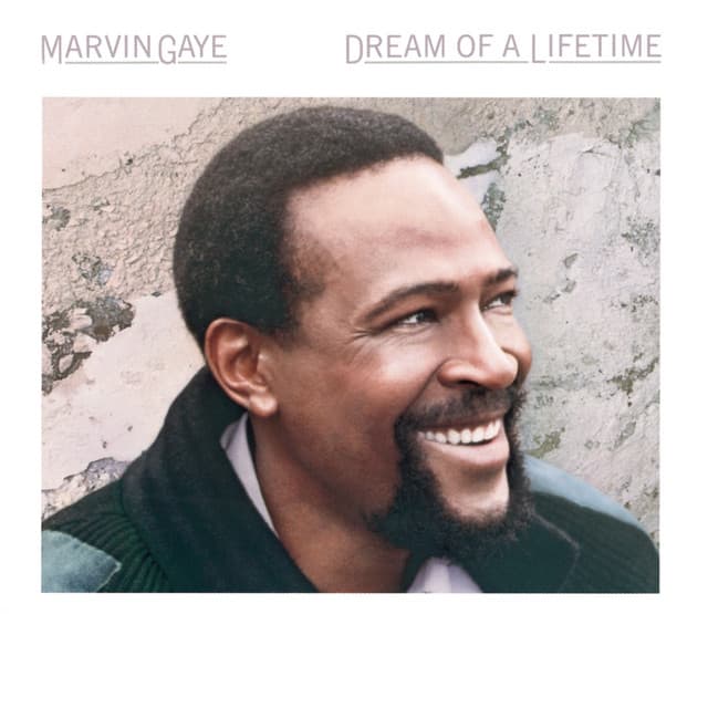 Dream of a Lifetime by Marvin Gaye