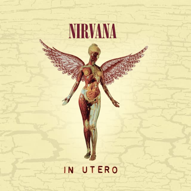 Secret Songs: The Unreleased Album by Nirvana