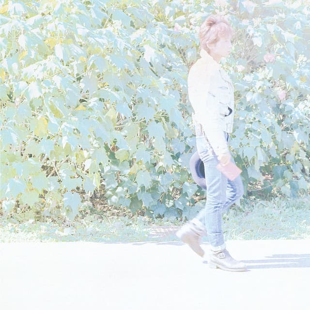 Metal Moon by BLANKEY JET CITY