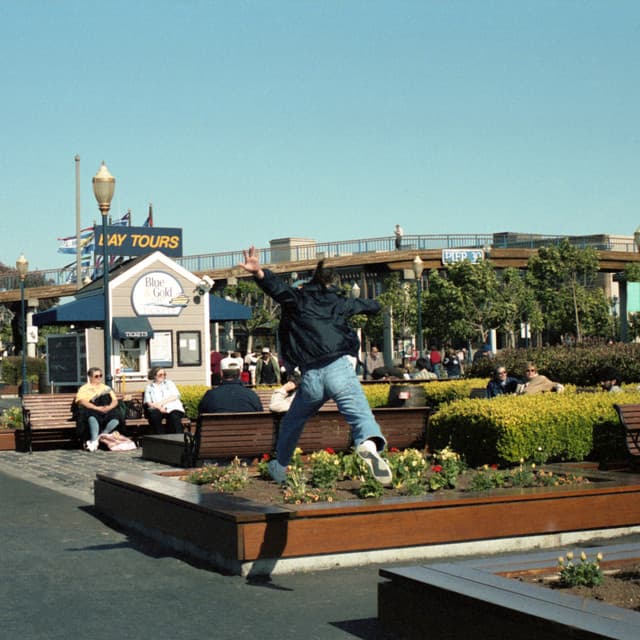 サニービート by サニーデイ・サービス